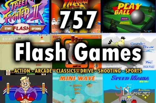 Flash Games will be completely wiped from the internet in 2021 